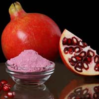 Spray Dried Pomegranate Powder