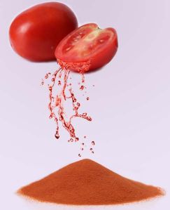 Spray Dried Tomato Powder