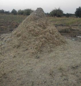 Biomass Fiber