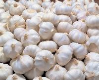 Garlic (lasun)