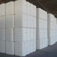 Cotton Bales