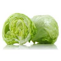 Fresh Iceberg Lettuce