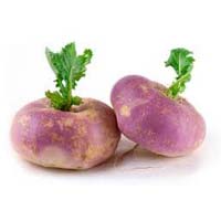 Fresh Turnip