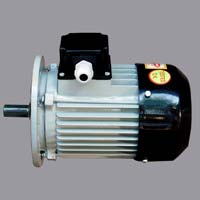 Flange Type Motor