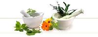 Herbal Formulation Products