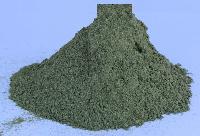 Andrographis Paniculata Powder