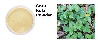 Gotu Kola Powder