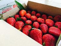 Vedanta's Farm Fresh Strawberry
