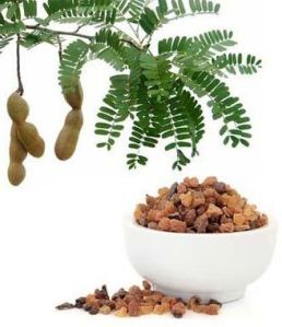 Commiphora Mukul Extract