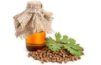 Coriander Oil, Coriandrum sativum