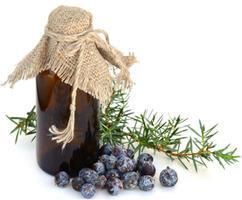 Juniper Berry Essential Oil Co2 Extract