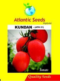 Kundan Hybrid Tomato Seeds