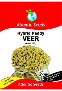 Veer Hybrid Paddy Seeds