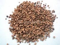 palak seed