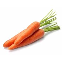 Fresh Carrot