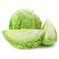 Fresh Cabbage