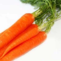 Fresh Carrot