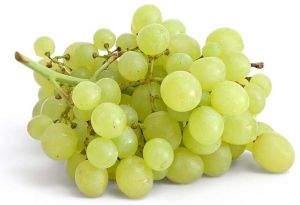 Fresh Grapes