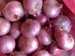 Fresh Onion