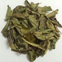 Dehydrated Neem Leaf