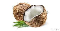 Coconut