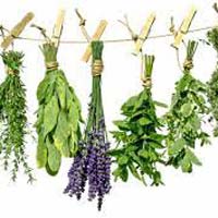 Organic Raw Herbs