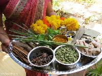 Ayurvedic Herbs