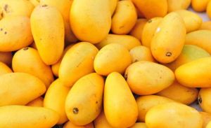 Fresh Mango