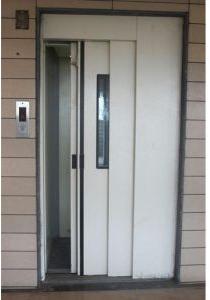 Telescopic Door