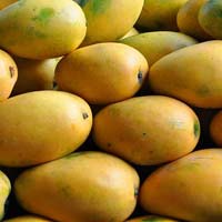 Fresh Banganapalli Mango