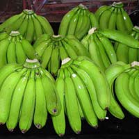 Fresh Green Banana