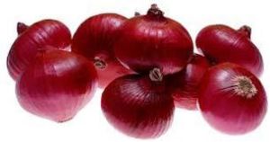 Fresh Red Onion