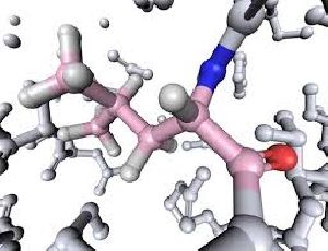 Yohimbine Hydrochloride