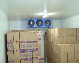 Cold Storage Services