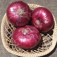 Fresh Red Onion