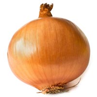 Yellow Onion