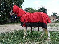 VE-R-007 Horse Rug