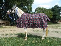 VE-R-008 Horse Rug