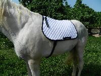 VE-SP-002 Horse Saddle Pad