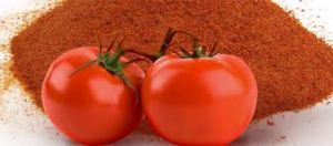 Dry Tomato Powder