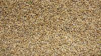 Millet Seeds