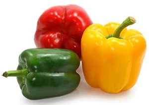 Fresh Capsicum