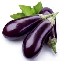 Fresh Eggplant