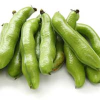 Fresh Broad Beans