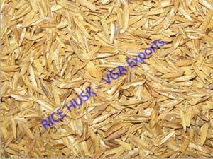 Rice Husk