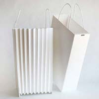 Designer Paper Carry Bags