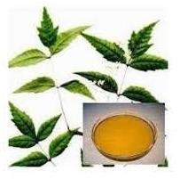 Organic Neem Oil