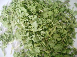 Dehydrated Coriander