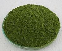 Moringa Leaves  Powder