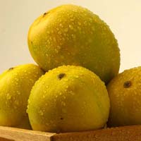 Alphonso Mangoes